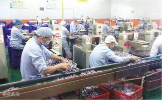 仲愷農(nóng)業(yè)工程學(xué)院輕工食品學(xué)院通信工程專業(yè)探秘