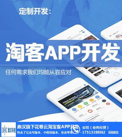 開封淘客軟件與花卷云 計(jì)算機(jī)系統(tǒng)集成服務(wù)的成本解析